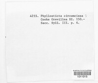 Phyllosticta circumscissa image